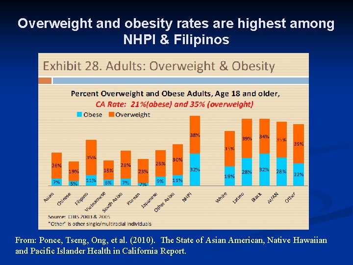Obesity in Asian Pacific Islander Americans Research Priorities