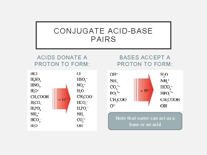 CONJUGATE ACID-BASE PAIRS ACIDS DONATE A PROTON TO FORM: BASES ACCEPT A PROTON TO