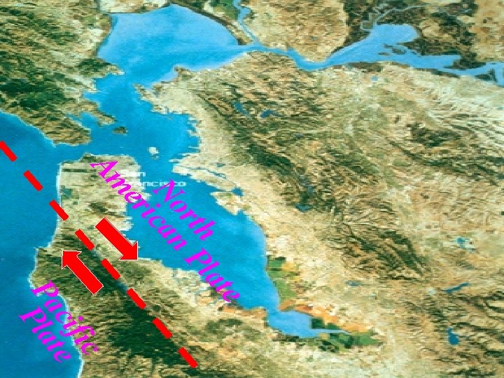 e at th Pl or N can i er Am ic cif e Pa