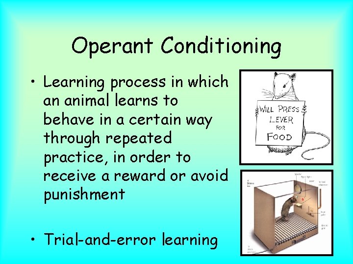 Operant Conditioning • Learning process in which an animal learns to behave in a