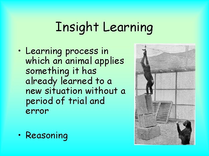 Insight Learning • Learning process in which an animal applies something it has already