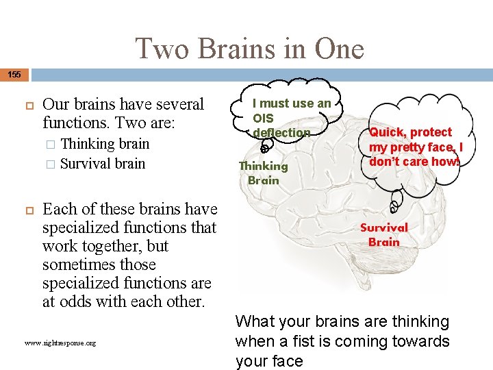 Two Brains in One 155 Our brains have several functions. Two are: Thinking brain Two Brains in One 155 Our brains have several functions. Two are: Thinking brain