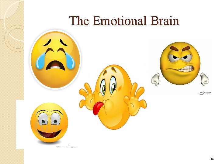 The Emotional Brain 34 The Emotional Brain 34