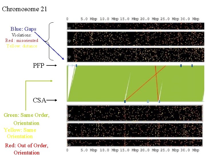 Chromosome 21 Blue: Gaps Violations: Red : misoriented Yellow: distance PFP CSA Green: Same