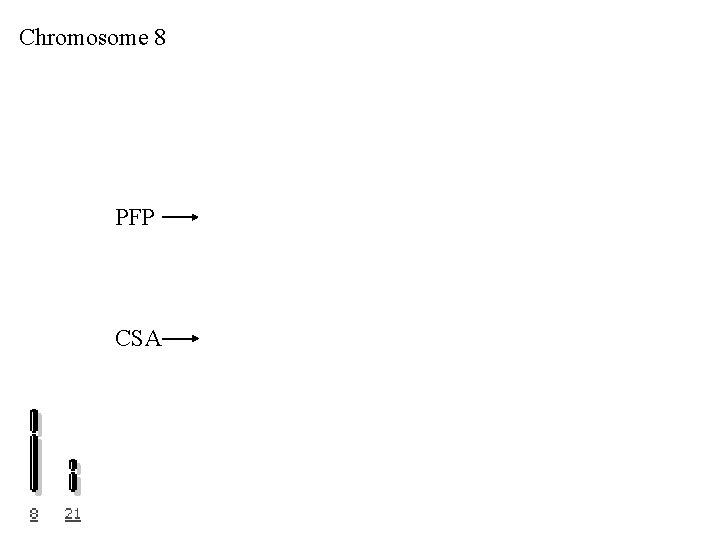 Chromosome 8 PFP CSA 