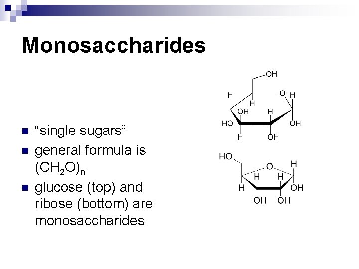 Monosaccharides n n n “single sugars” general formula is (CH 2 O)n glucose (top)