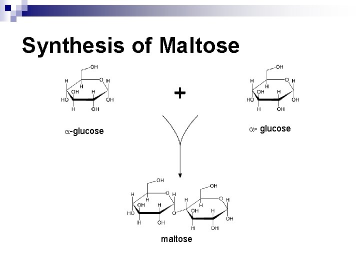 Synthesis of Maltose - glucose -glucose maltose 