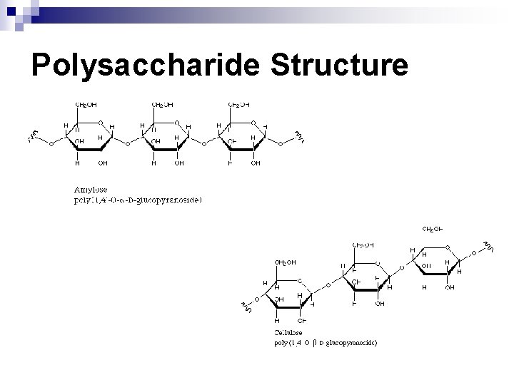 Polysaccharide Structure 