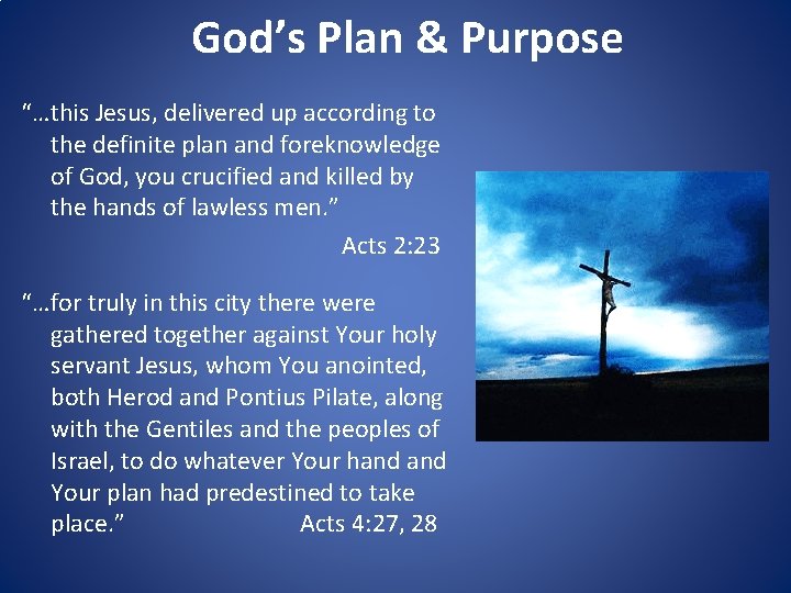 God’s Plan & Purpose “…this Jesus, delivered up according to the definite plan and