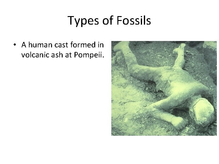 Types of Fossils • A human cast formed in volcanic ash at Pompeii. 
