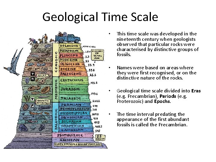 Geological Time Scale • This time scale was developed in the nineteenth century when