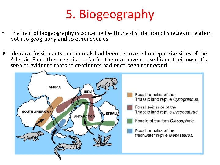 5. Biogeography • The field of biogeography is concerned with the distribution of species