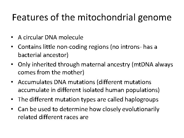 Features of the mitochondrial genome • A circular DNA molecule • Contains little non-coding