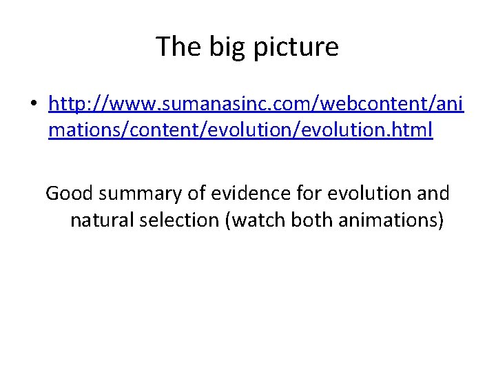 The big picture • http: //www. sumanasinc. com/webcontent/ani mations/content/evolution. html Good summary of evidence