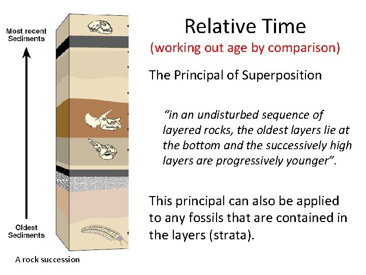 Relative Time (working out age by comparison) The Principal of Superposition “in an undisturbed