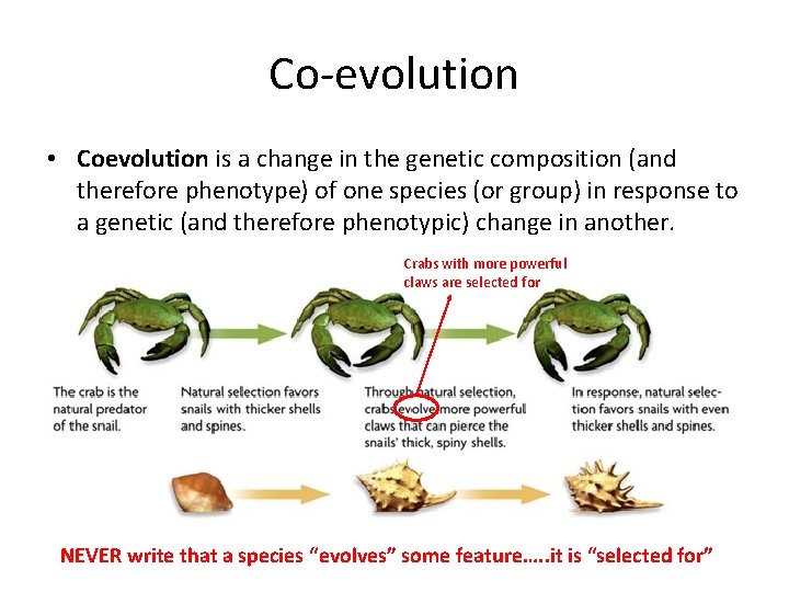 Co-evolution • Coevolution is a change in the genetic composition (and therefore phenotype) of