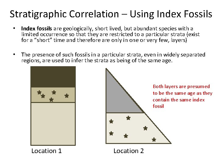 Stratigraphic Correlation – Using Index Fossils • Index fossils are geologically, short lived, but