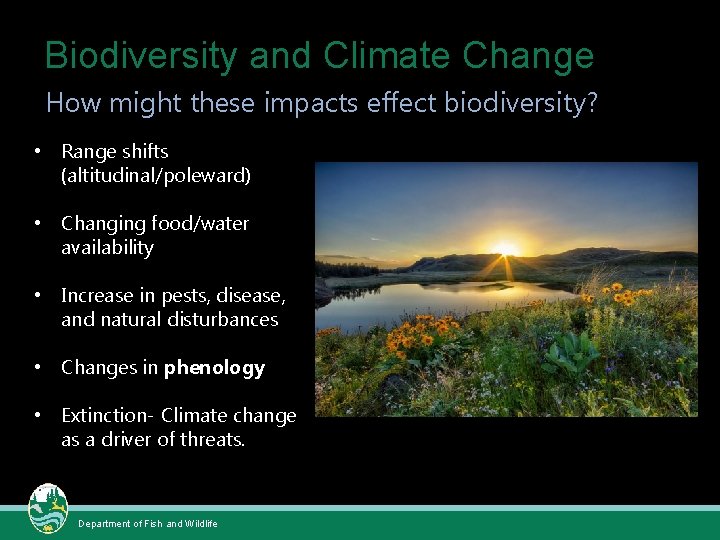Biodiversity and Climate Change How might these impacts effect biodiversity? • Range shifts (altitudinal/poleward)
