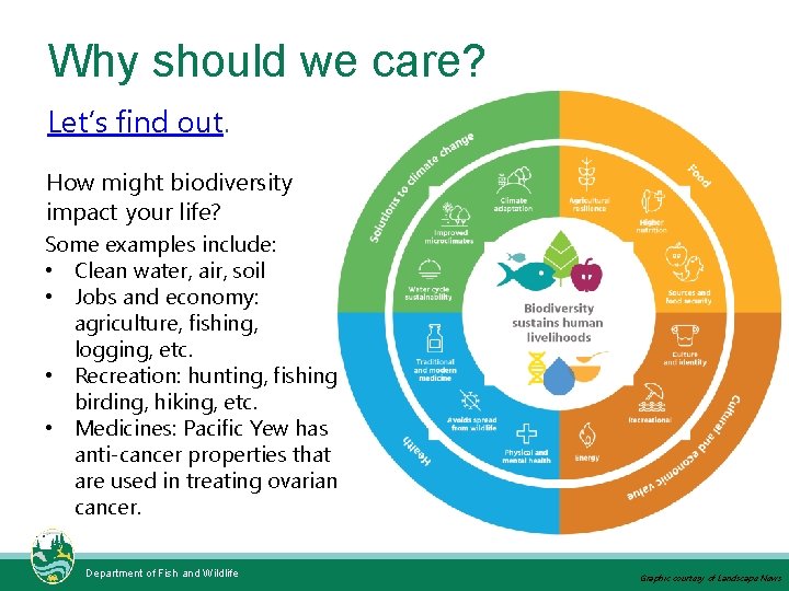 Why should we care? Let’s find out. How might biodiversity impact your life? Some