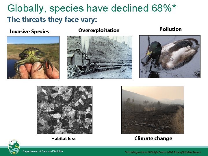 Globally, species have declined 68%* The threats they face vary: Overexploitation Invasive Species Habitat