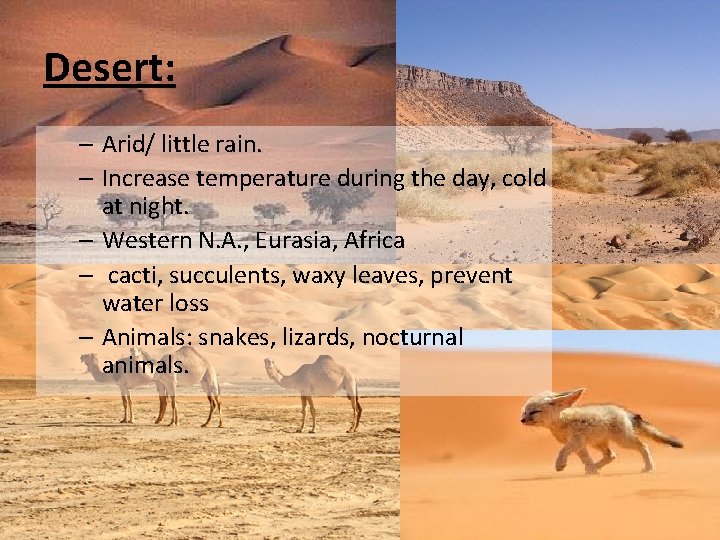 Desert: – Arid/ little rain. – Increase temperature during the day, cold at night.