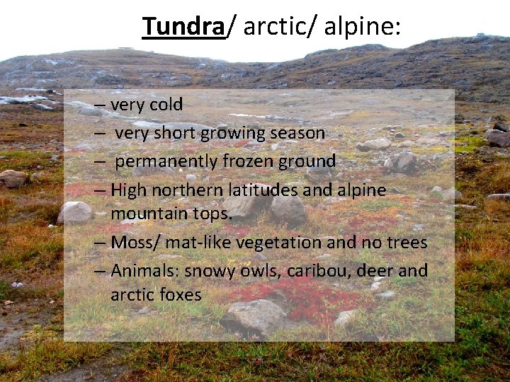Tundra/ arctic/ alpine: – very cold – very short growing season – permanently frozen