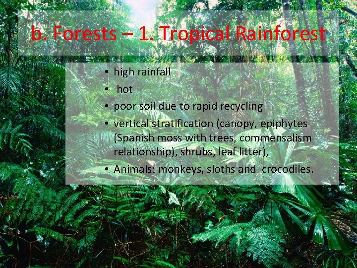 b. Forests – 1. Tropical Rainforest high rainfall hot poor soil due to rapid