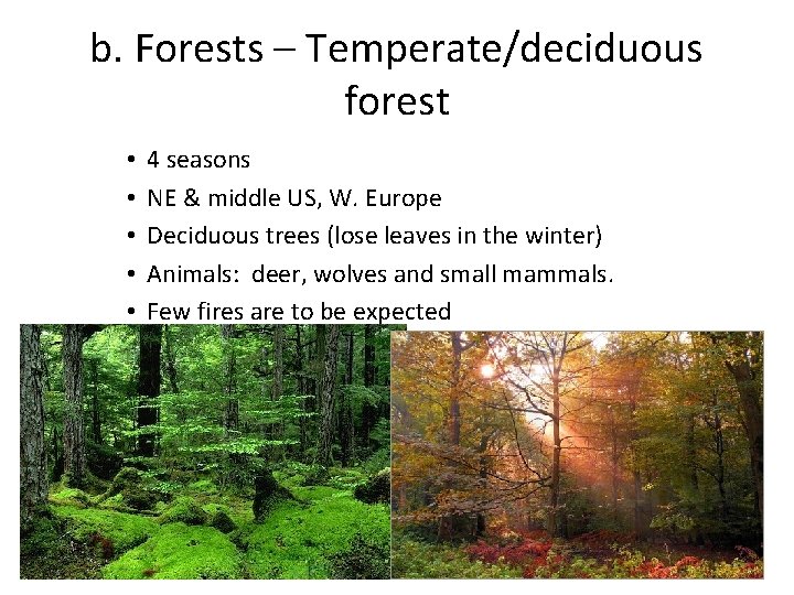 b. Forests – Temperate/deciduous forest • • • 4 seasons NE & middle US,