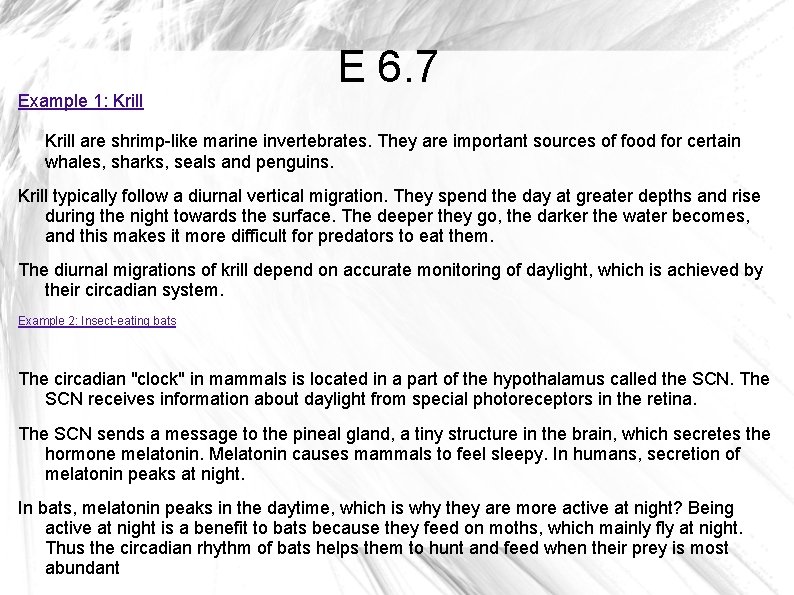Example 1: Krill E 6. 7 Krill are shrimp-like marine invertebrates. They are important