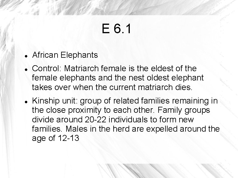 E 6. 1 African Elephants Control: Matriarch female is the eldest of the female
