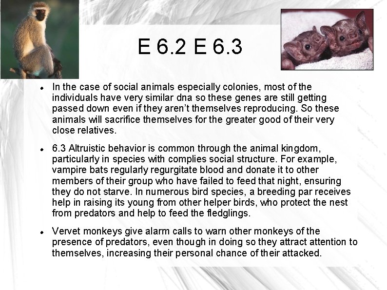 E 6. 2 E 6. 3 In the case of social animals especially colonies,