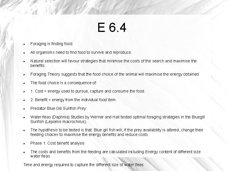 E 6. 4 Foraging is finding food. All organisms need to find food to