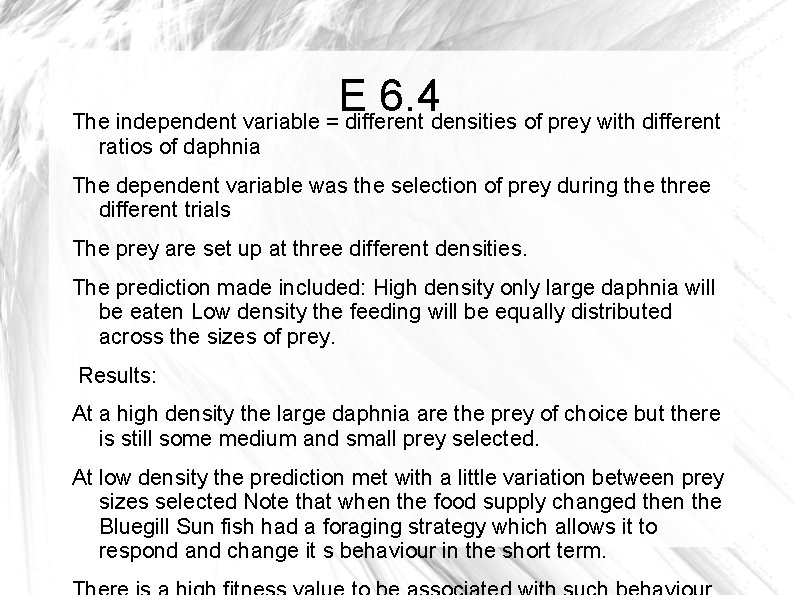 E 6. 4 The independent variable = different densities of prey with different ratios