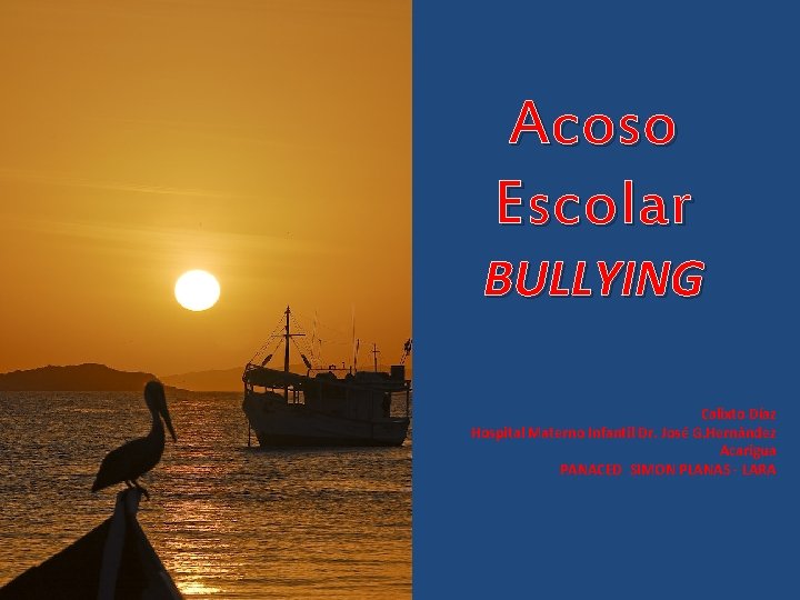 Acoso Escolar BULLYING Calixto Díaz Hospital Materno Infantil Dr. José G. Hernàndez Acarigua PANACED