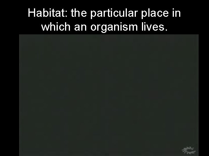 Habitat: the particular place in which an organism lives. 