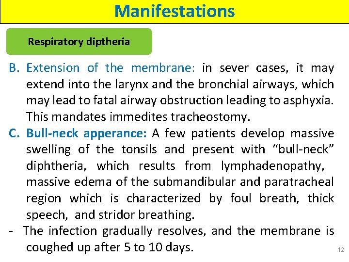 Manifestations Respiratory diptheria B. Extension of the membrane: in sever cases, it may extend