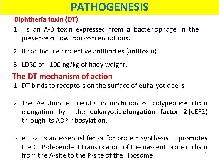 PATHOGENESIS Diphtheria toxin (DT) 1. Is an A-B toxin expressed from a bacteriophage in