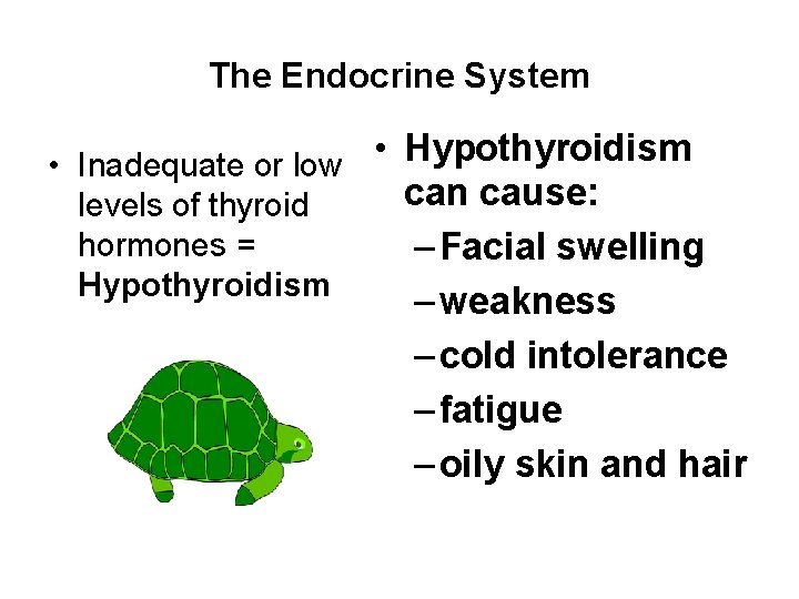 The Endocrine System • Inadequate or low • Hypothyroidism can cause: levels of thyroid
