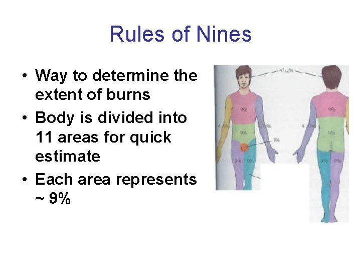 Rules of Nines • Way to determine the extent of burns • Body is