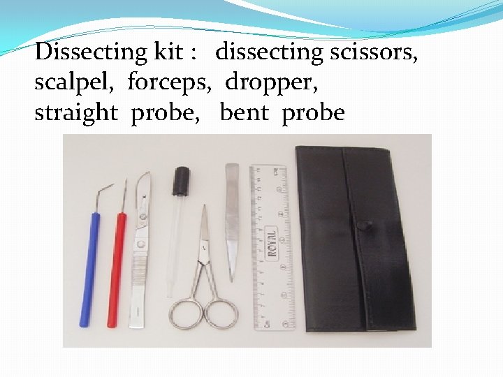 Dissecting kit : dissecting scissors, scalpel, forceps, dropper, straight probe, bent probe 