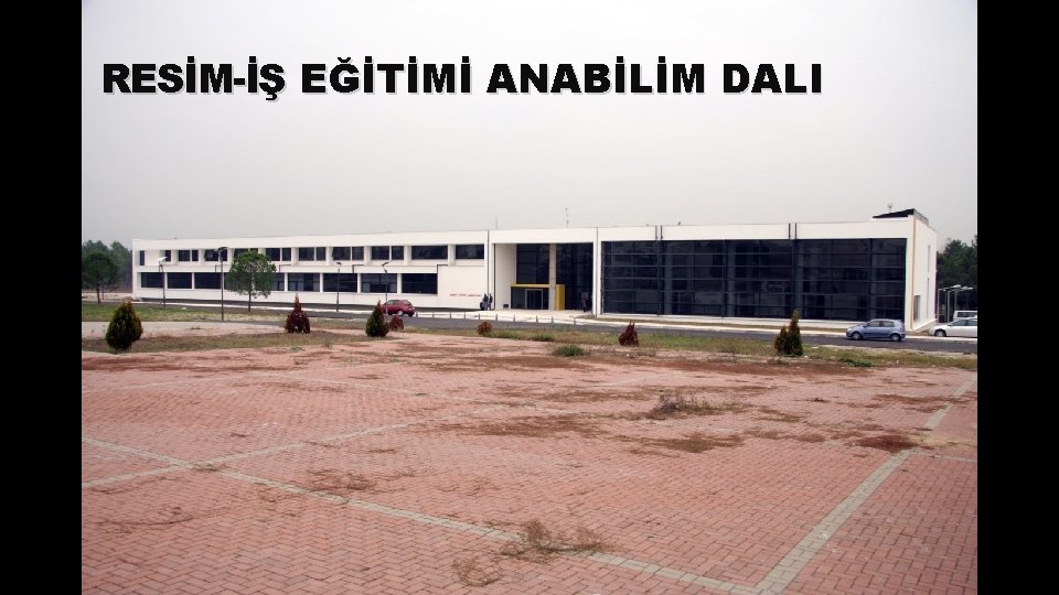 RESİM-İŞ EĞİTİMİ ANABİLİM DALI 