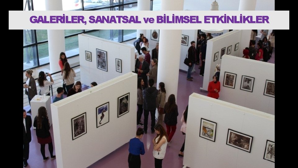 GALERİLER, SANATSAL ve BİLİMSEL ETKİNLİKLER 