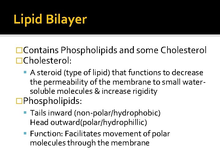 Lipid Bilayer �Contains Phospholipids and some Cholesterol �Cholesterol: A steroid (type of lipid) that