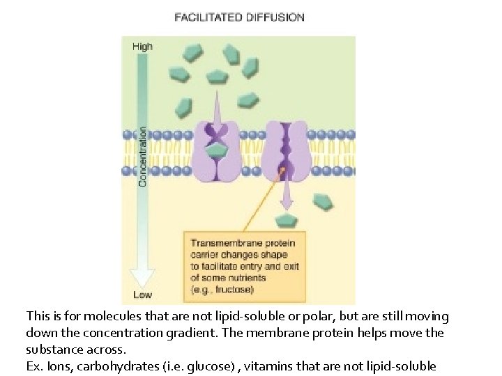 This is for molecules that are not lipid-soluble or polar, but are still moving