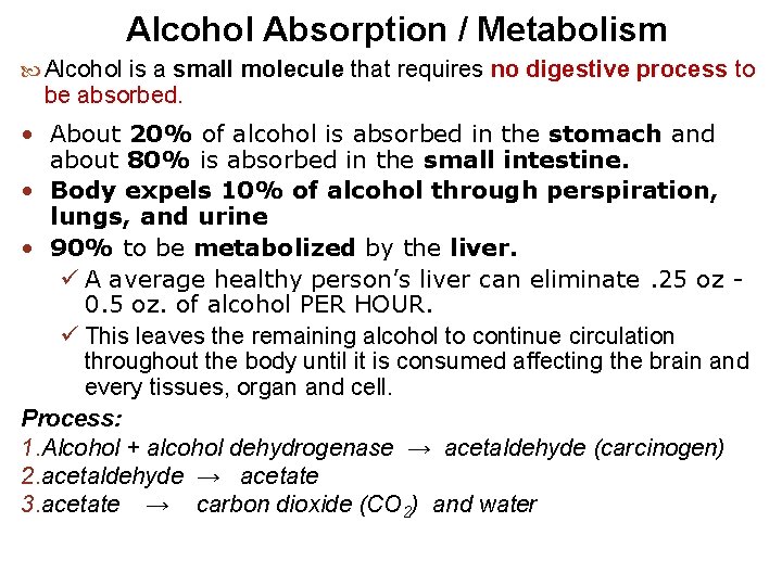 Alcohol Absorption / Metabolism Alcohol is a small molecule that requires no digestive process