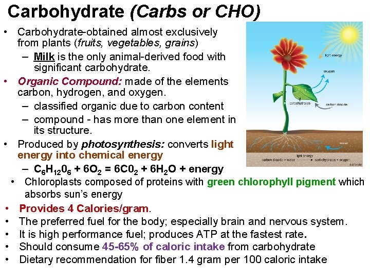 Carbohydrate (Carbs or CHO) • Carbohydrate-obtained almost exclusively from plants (fruits, vegetables, grains) –