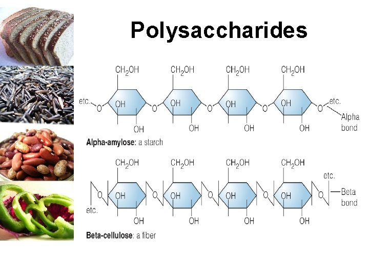 Polysaccharides 