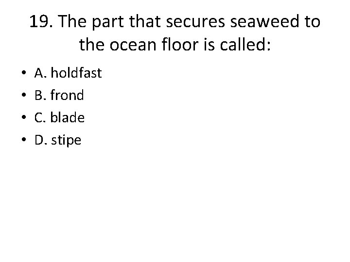 19. The part that secures seaweed to the ocean floor is called: • •