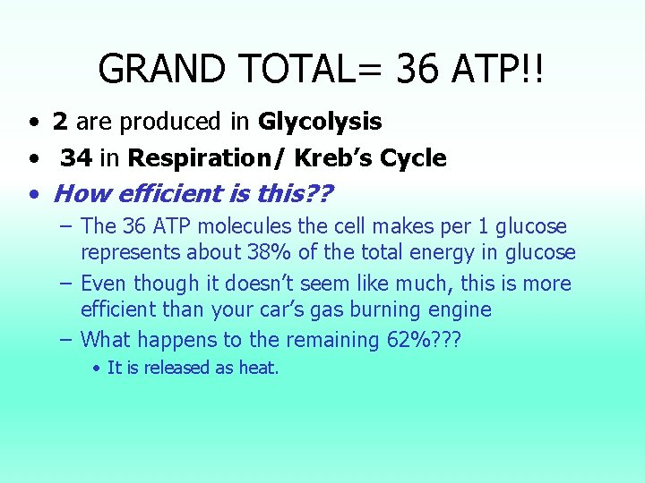 GRAND TOTAL= 36 ATP!! • 2 are produced in Glycolysis • 34 in Respiration/