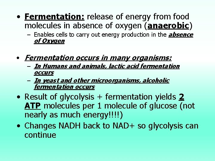  • Fermentation: release of energy from food molecules in absence of oxygen (anaerobic)